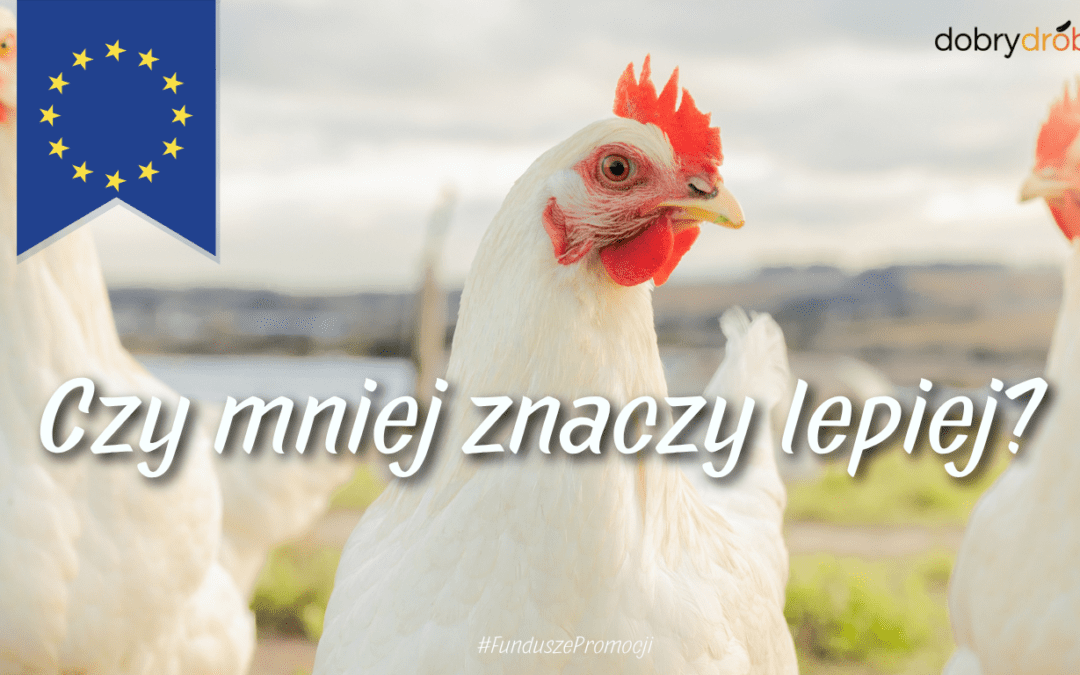 Czy mniej znaczy lepiej? Nowe przepisy UE dotyczące transportu brojlerów budzą kontrowersje